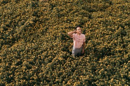 maxmotel july  bbb aurel mertz  philharmonie plants 