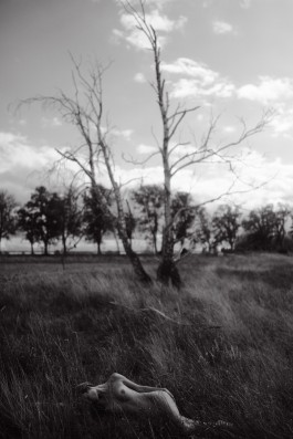 maxmotel sw hedonist post greta faeser sep  nature tree nude 