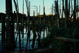 maxmotel sw location scout oct  kaulsdorfer baggersee 